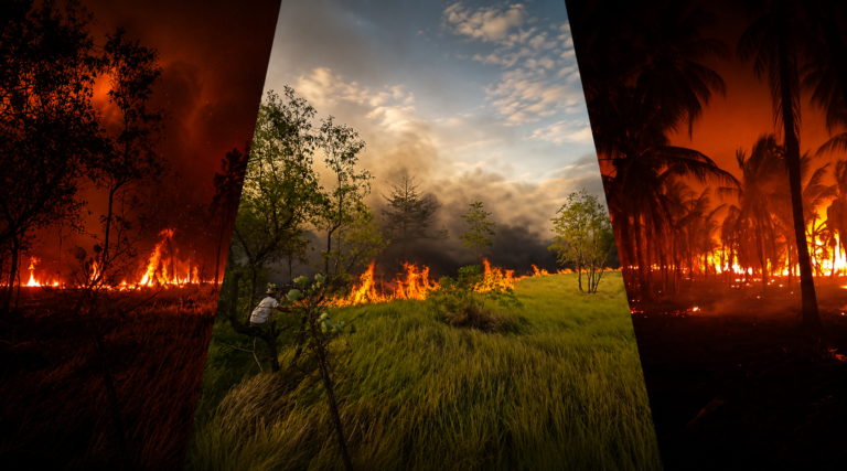 file_00000000eff08207a273b28be7aba886
